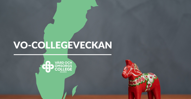 VO-Collegevecka 2024