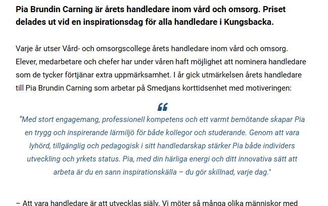 Åretshandledare